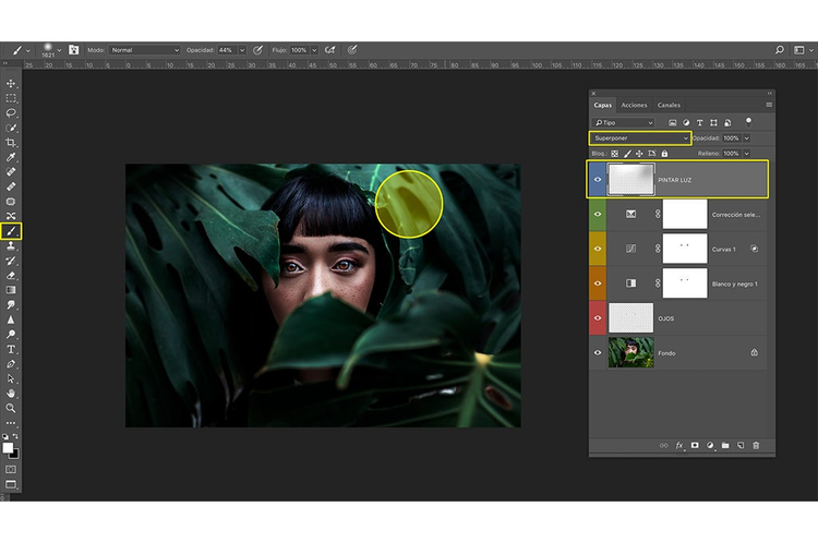 interfaz photoshop en edicion la imagen de una joven asiatica detras de unas hojas verdes de un arbol Luz artificial sobre la imagen un circulo amarillo de edicion