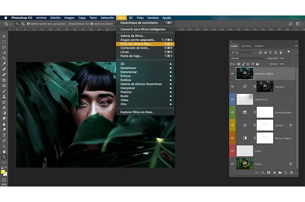 interfaz photoshop en edicion la imagen de una joven asiatica detras de unas hojas verdes de un arbol estampa visible filtro de camera raw