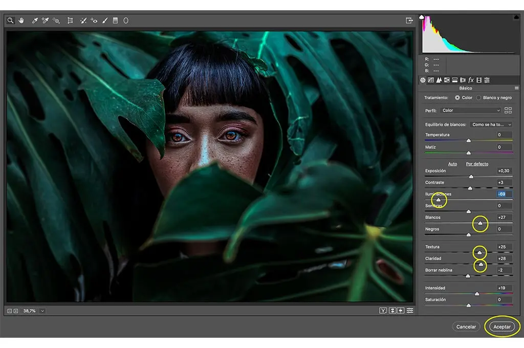 interfaz photoshop en edicion la imagen de una joven asiatica detras de unas hojas verdes de un arbol estampa visible filtro de camera raw efecto dramatico