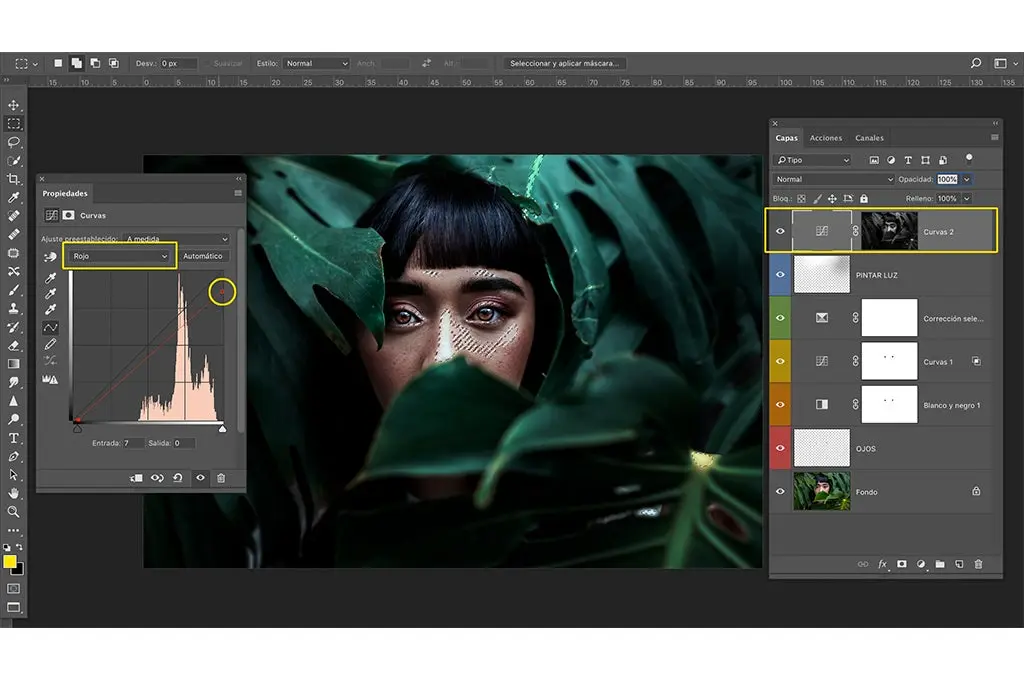 interfaz photoshop en edicion la imagen de una joven asiatica detras de unas hojas verdes de un arbol canal de color por separado