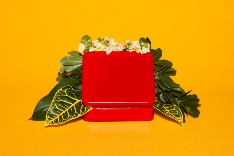 Caja roja con su interor lleno de plantas verdes