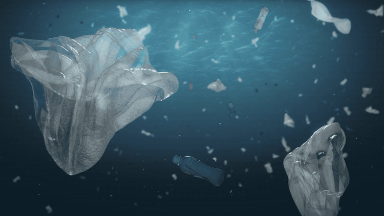 documental ambiental bolsas plasticas dentro del mar