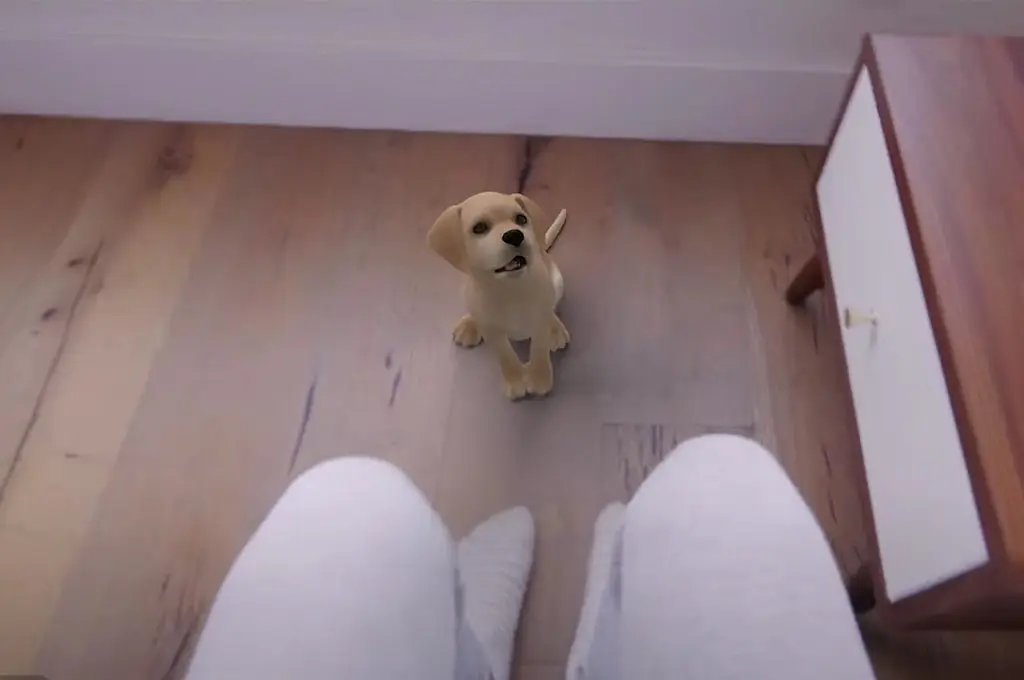 ilustracion de un cachorro dorado en realidad virtual