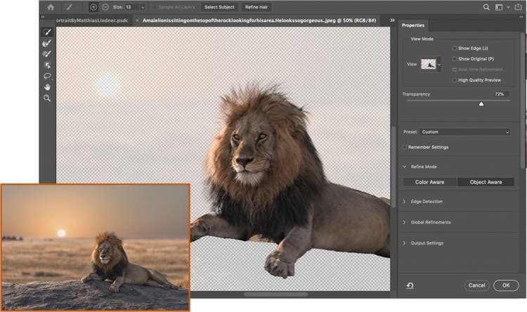 imagen de un leon en la interfaz de photoshop, en ejecucion integracion de un atardecer