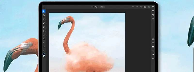 photshop en el ipad, ilustracion de un cisne rosado