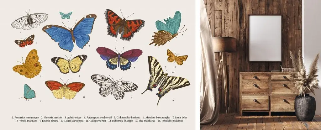 Ilustración científica de mariposas catalogadas junto a la representación en 3D de una lámpara, un marco y una mesita de noche frente a una pared de madera.