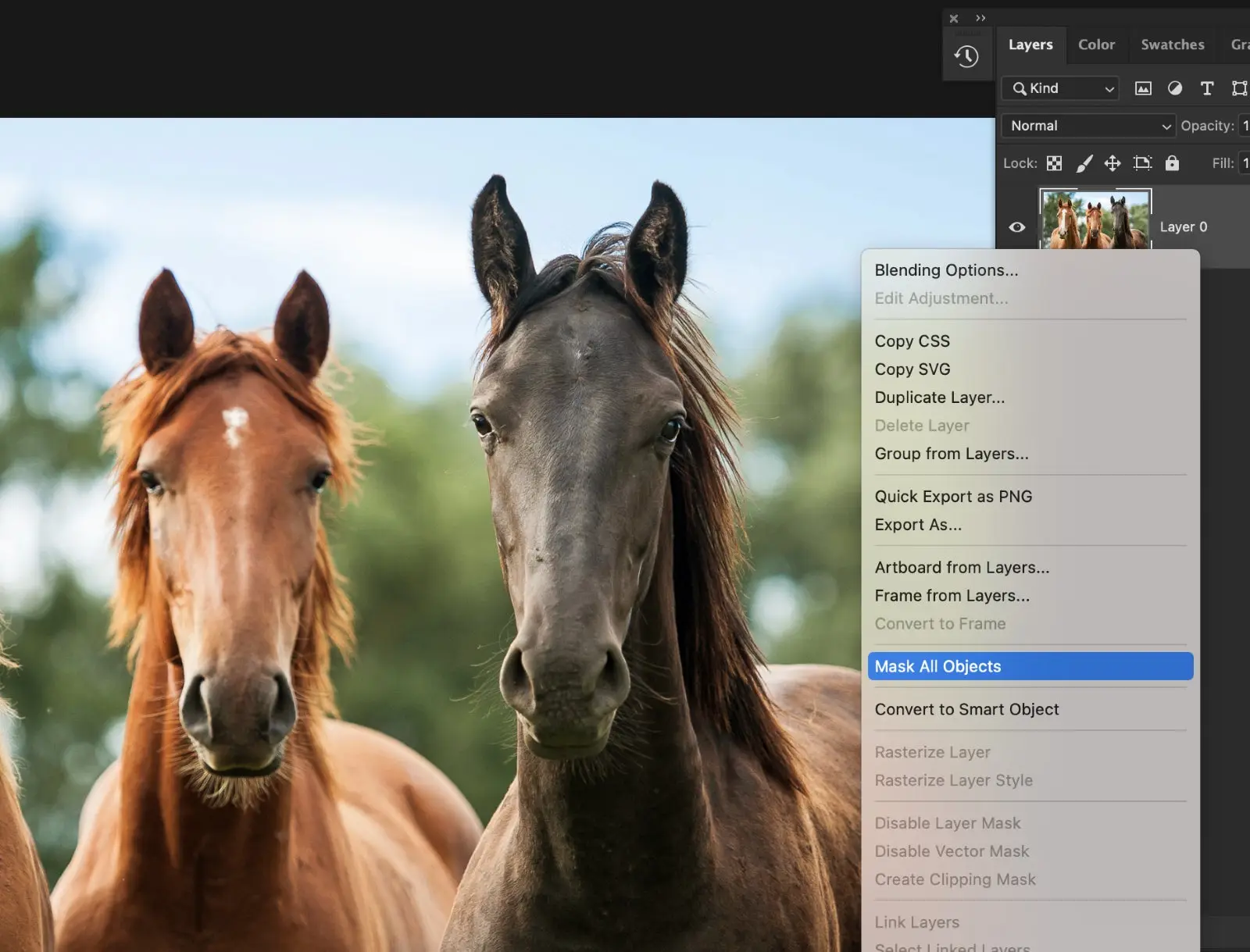 Interfaz de Photoshop con una foto de tres caballos y la selección de máscaras de capa