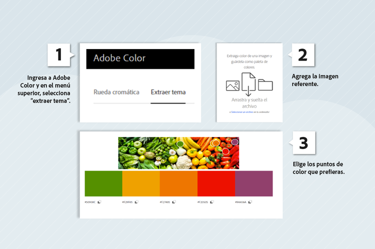 Adobe Color: segundo paso para la paleta de color, círculo cromático
