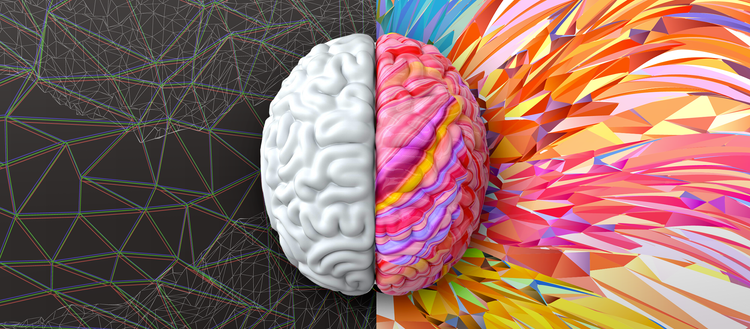 Ilustracion del cerebro humano blanco y multicolor, tipos de creatividad