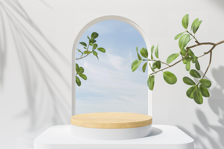 Escenario 3D, una ventana al fondo se ve un cielo, en primer plano hay una planta  y una base de madera
