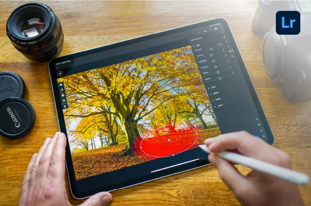 manos de un disenador trabajando en su ipad una ilustracion de un arbol de flores amarillas en la pantalla del ipad la interfaz de Adobe Lightroom