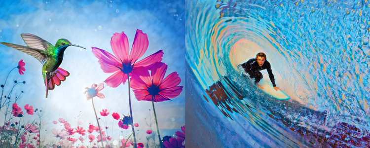 Image of a hummingbird and a surfer riding a wave created using Adobe Photoshop Elements 2024 & Premiere Elements 2024.