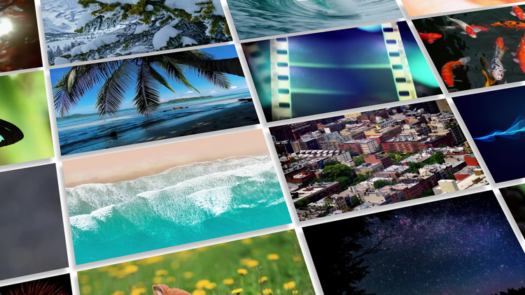 Image created using Adobe Photoshop Elements.