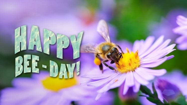 A bee on a flower Description automatically generated