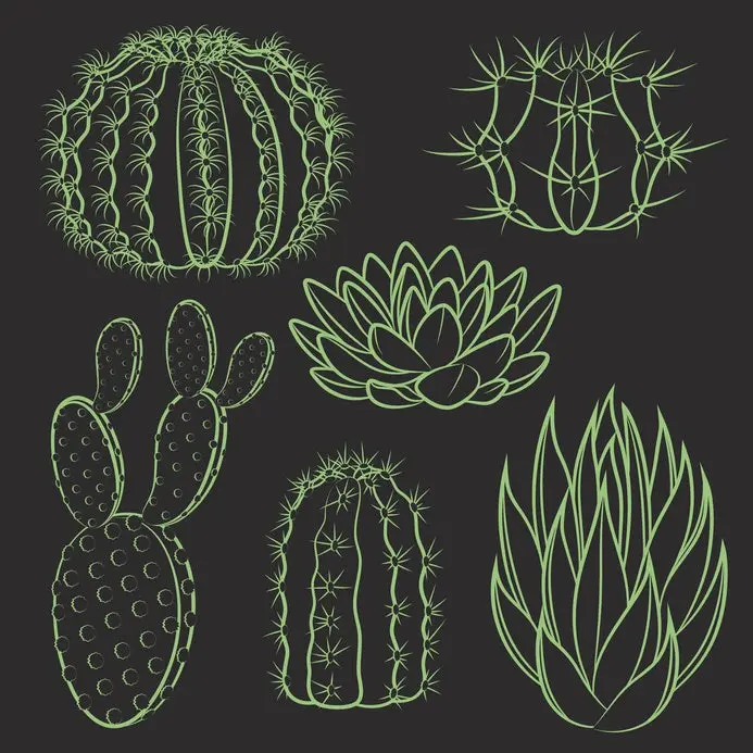 Vector set of isolated cactus.
