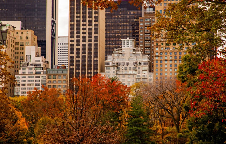 Central Park, New York City