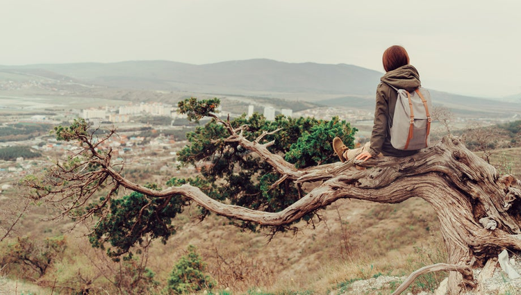 Traveler young woman sitting on a tree in the mountains