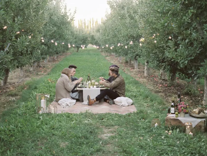 An apple orchard in Utah. Group of people having a picnic on the grass.
