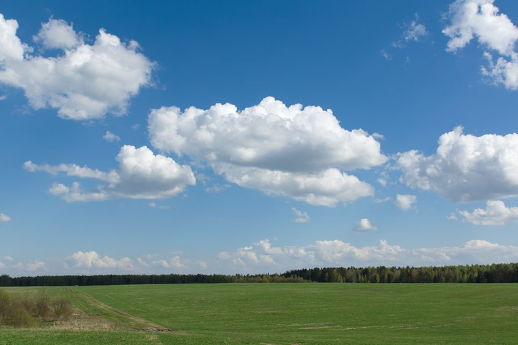 beautiful rural landscape with green vegetation and the bright sky