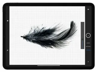 Pennello con forma piuma in Photoshop per iPad