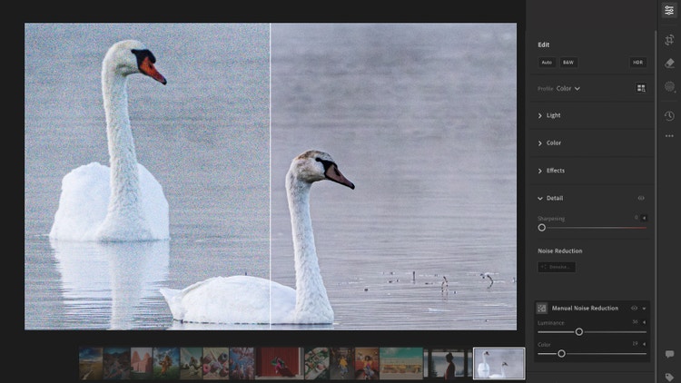 Before and after Denoise, in Lightroom Web, by Katrin Eismann.