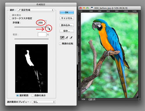 フォトレタッチの極意2：色域指定を使って選択範囲を作る