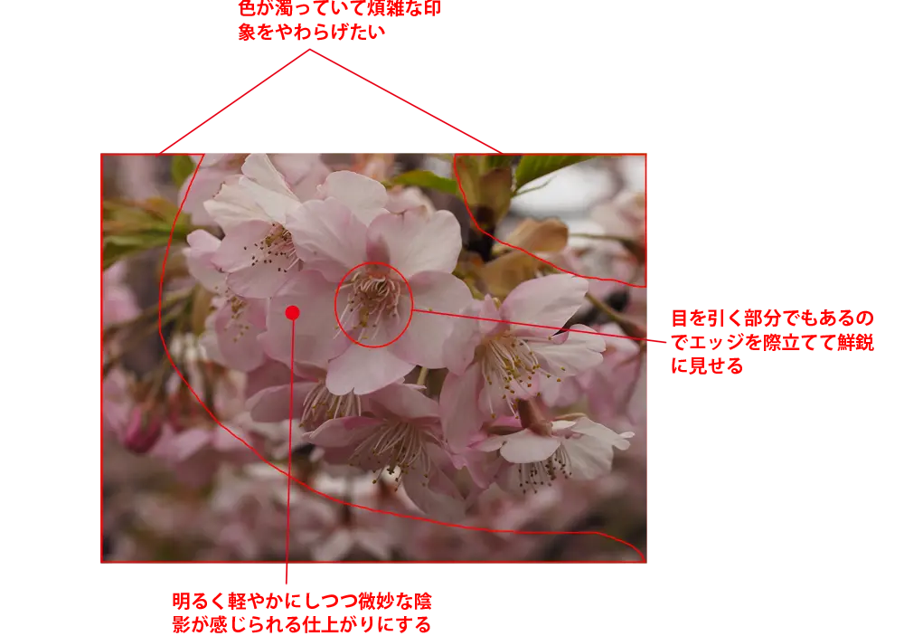フォトレタッチの極意４ マクロで撮影した桜の質感をアップする