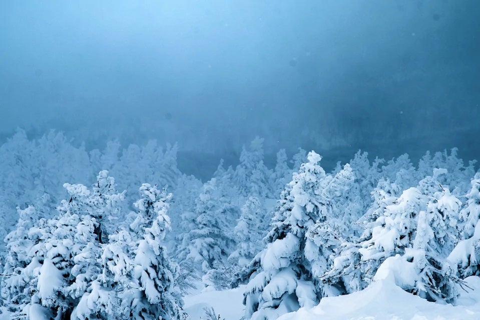 おすすめ雪景色スポット – 東北編 ＃AdobeStock
