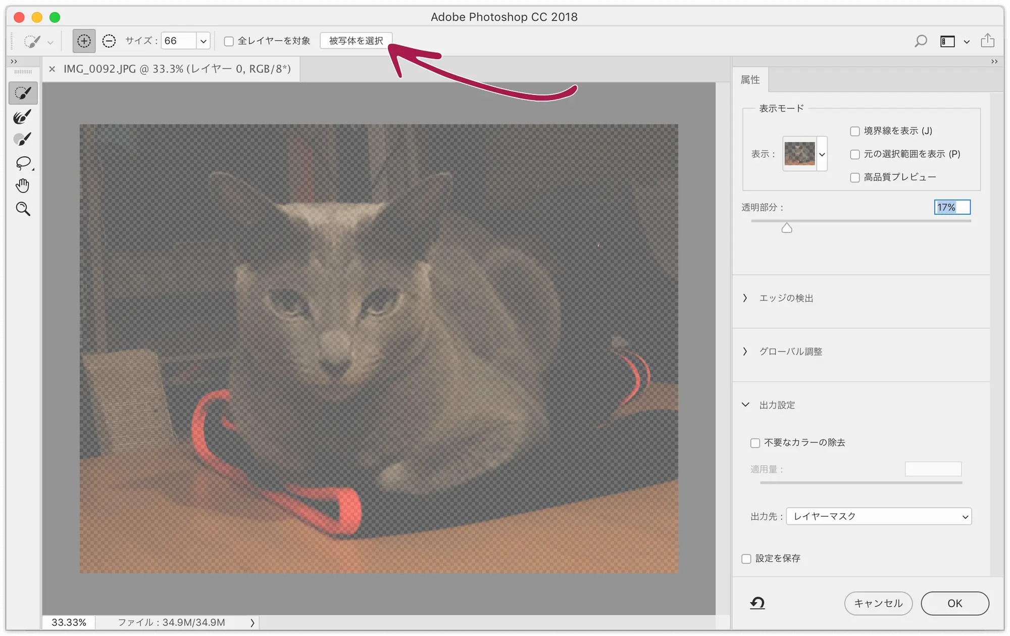 ベテランほど知らずに損してるphotoshopの新常識 9 なげなわツールから被写体選択まで こんなにあったphotoshopでの選択の自由