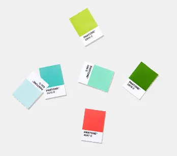 Pantoneの新色カラーパレットで描かれた 5月のマーメイド