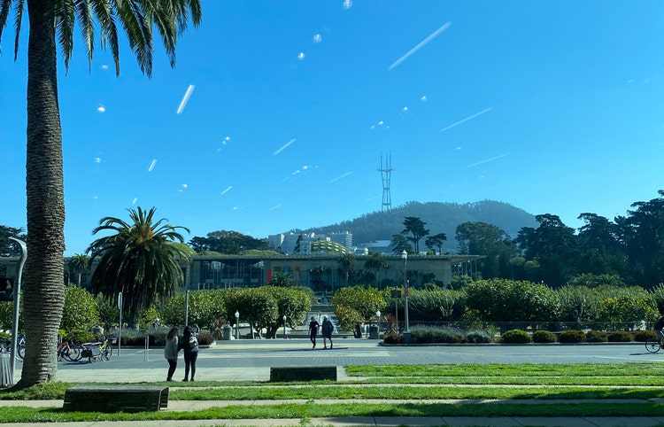 (All images need alt text for accessbility.)
People in Golden Gate park