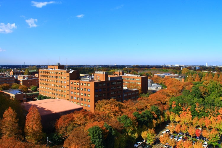 屋外, 市, 建物, 水 が含まれている画像 自動的に生成された説明