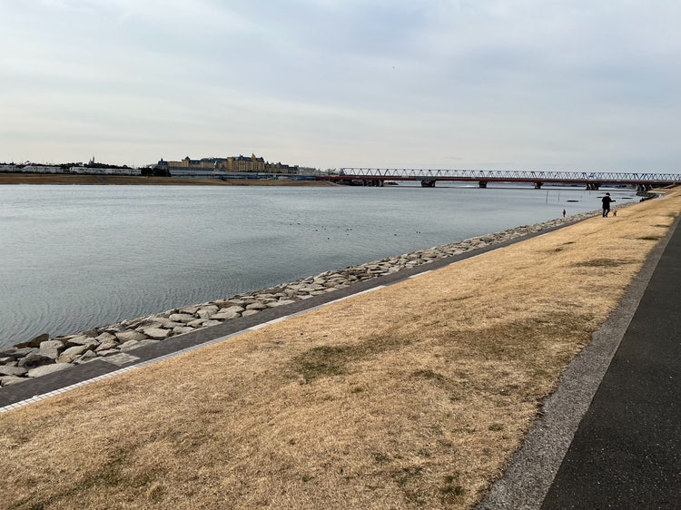 屋外, 水, 自然, 砂浜 が含まれている画像 自動的に生成された説明