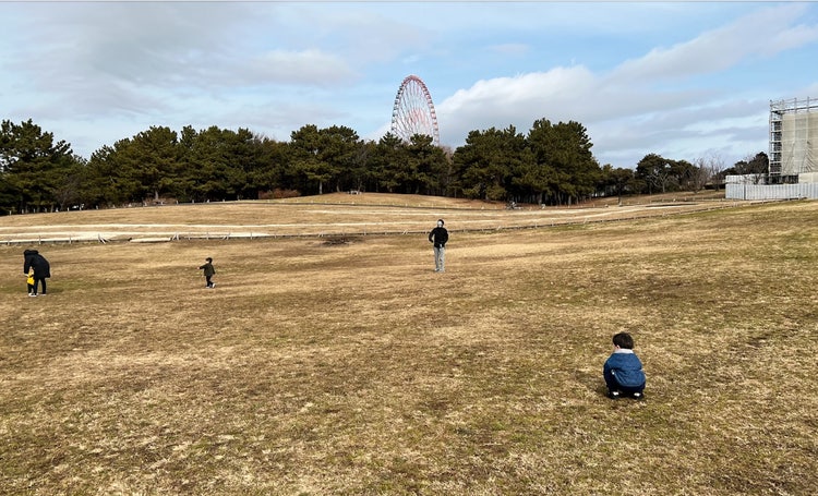 屋外, 草, フィールド, 凧 が含まれている画像 自動的に生成された説明