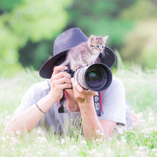 猫を抱いている女性 低い精度で自動的に生成された説明
