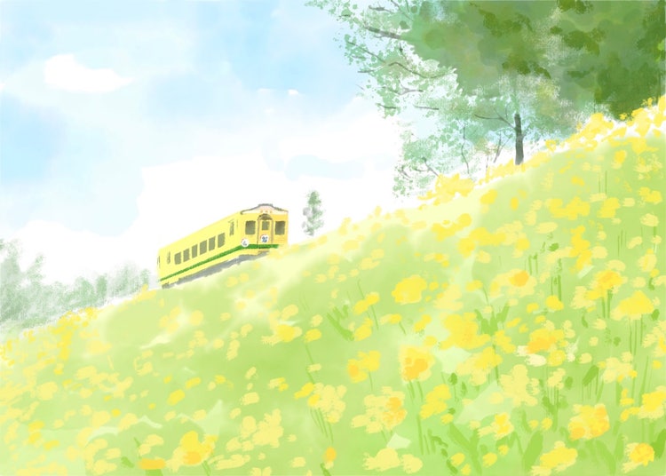 花, 木 が含まれている画像 自動的に生成された説明