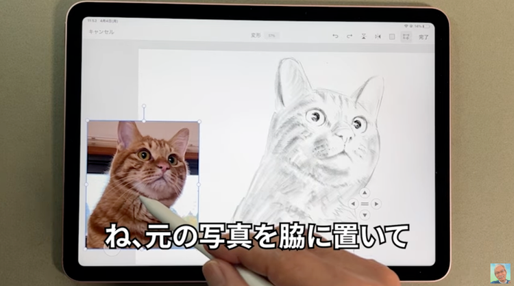 モニター画面に映る猫 自動的に生成された説明