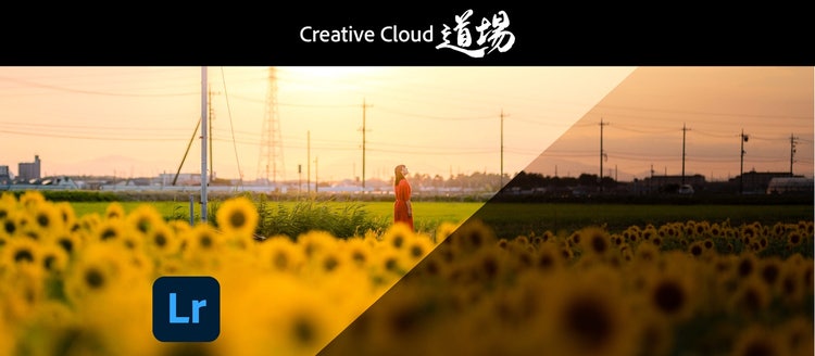 草, 屋外, 写真, フロント が含まれている画像 自動的に生成された説明