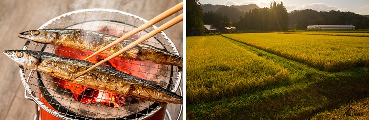 草, 屋外, 食品, 写真 が含まれている画像 自動的に生成された説明
