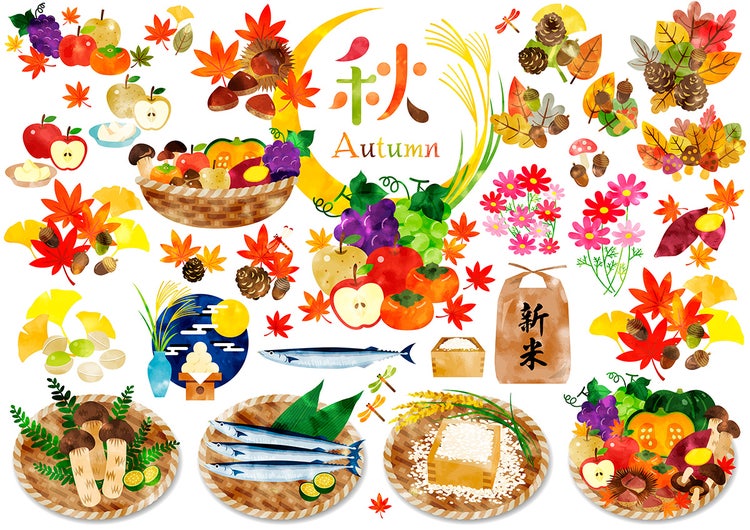食品 が含まれている画像 自動的に生成された説明