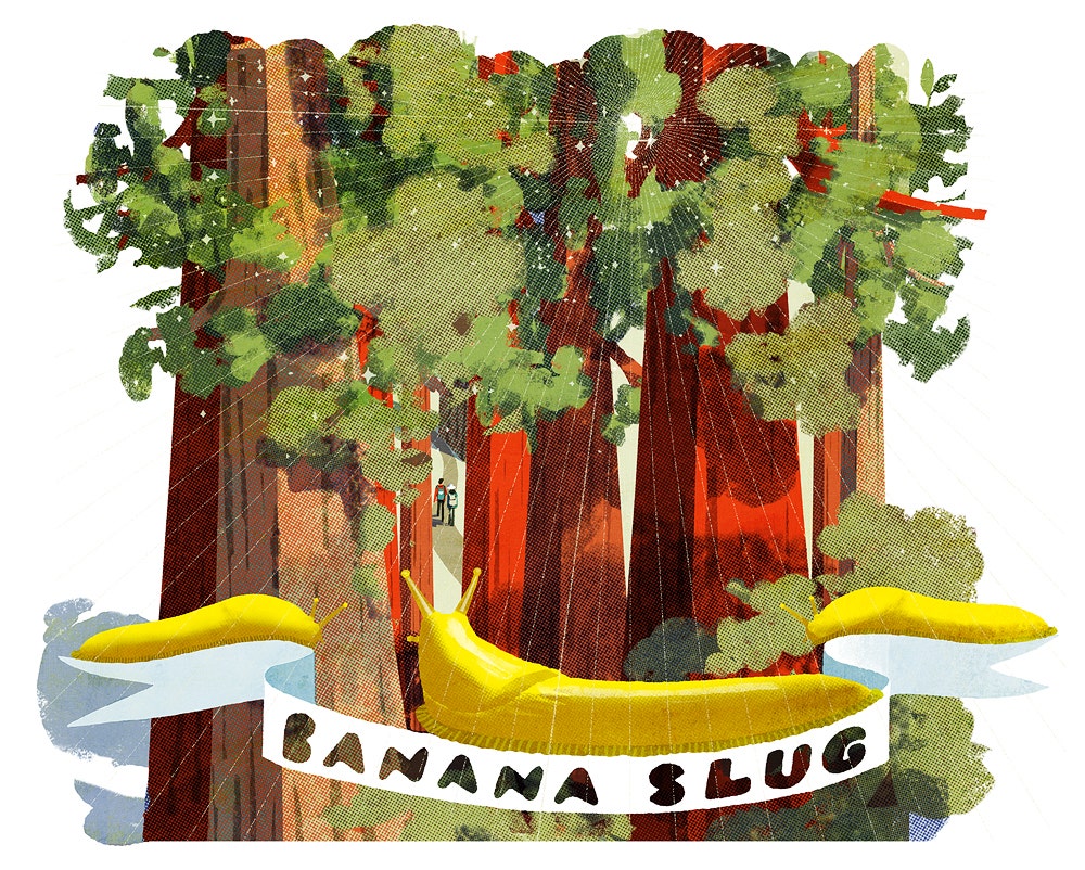 美術品・アンティーク・コレクション BANANA J. 2018 木版画