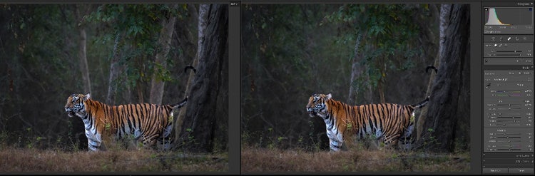 Inserting image...