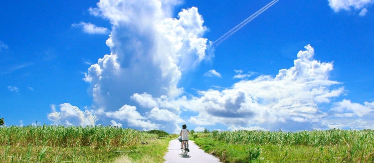 草, 屋外, 自然, グリーン が含まれている画像 自動的に生成された説明