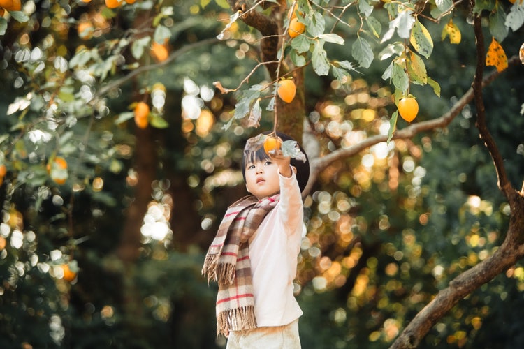 屋外, 屋外のオブジェ, 立つ, 持つ が含まれている画像 自動的に生成された説明