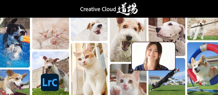 犬と猫の写真のコラージュ 中程度の精度で自動的に生成された説明