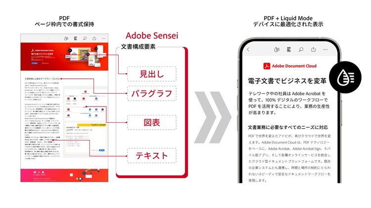 図 3　Acrobat Liquid Modeについて