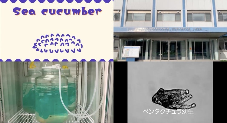 テーブル, 座る, ノートパソコン, コンピュータ が含まれている画像 自動的に生成された説明