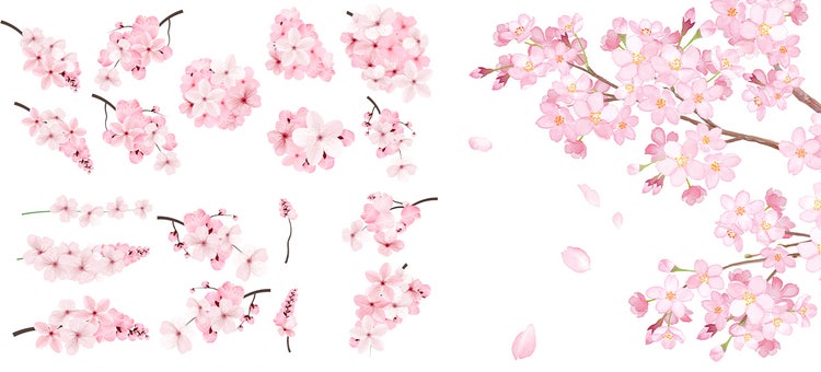 Adobe Stock　花、水彩