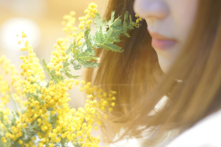 Adobe Stock 国際女性デー・ミモザ