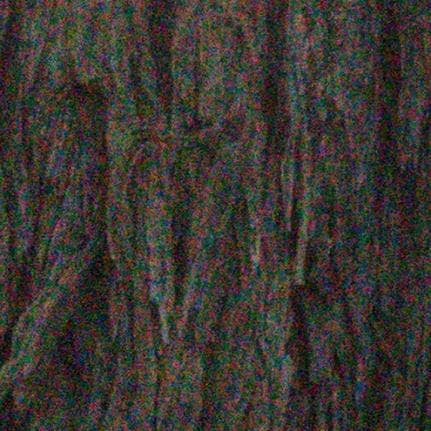 A picture containing tree Description automatically generated